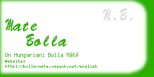 mate bolla business card
