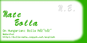 mate bolla business card